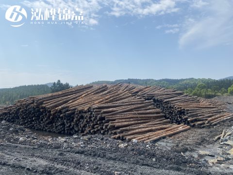 河道打樁為什么選擇松木樁來處理軟地基？-松木樁施工使用范圍